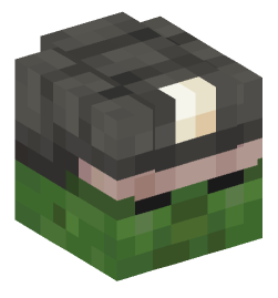 Minecraft head — Creatures