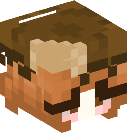 Minecraft head — Creatures