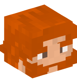 Minecraft head — People