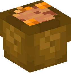 Minecraft head — Food and drink