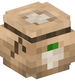 Minecraft head — Decor