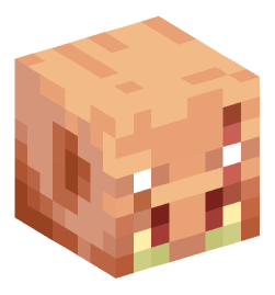 Minecraft head — Creatures