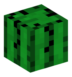 Minecraft head — Blocks