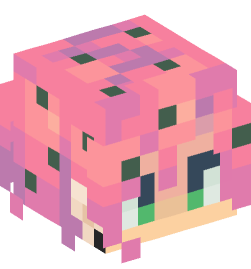 Minecraft head — People