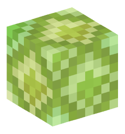 Minecraft head — Blocks