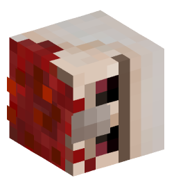 Minecraft head — Creatures