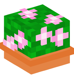 Minecraft head — Plants