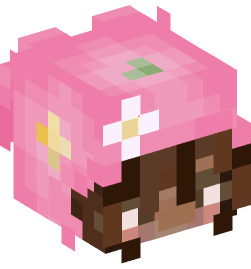Minecraft head — People