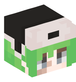 Minecraft head — People