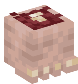 Minecraft head — Decor