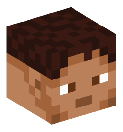 Minecraft head — People