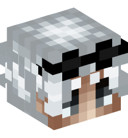 Minecraft head — People