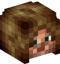 Minecraft head — People