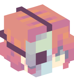 Minecraft head — People