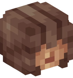 Minecraft head — People