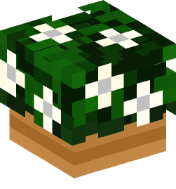 Minecraft head — Decor