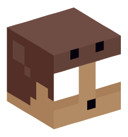 Minecraft head — Miscellaneous