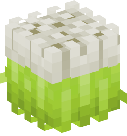 Minecraft head — Plants