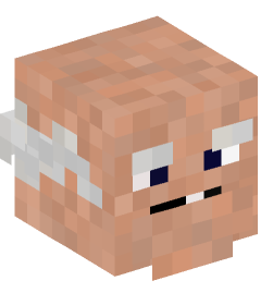 Minecraft head — People