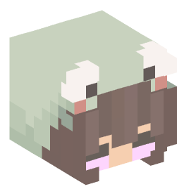 Minecraft head — People