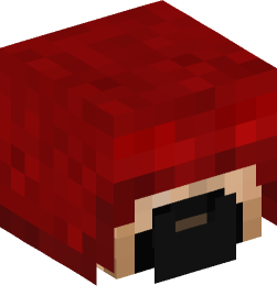 Minecraft head — People