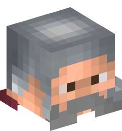 Minecraft head — People