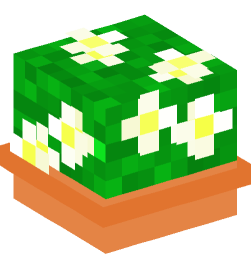 Minecraft head — Plants