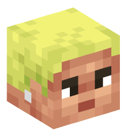 Minecraft head — People