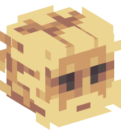 Minecraft head — Decor