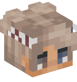 Minecraft head — People