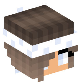 Minecraft head — People