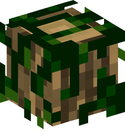 Minecraft head — Decor