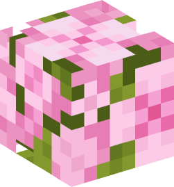 Minecraft head — Plants