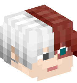 Minecraft head — People