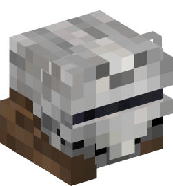 Minecraft head — People