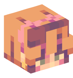 Minecraft head — People