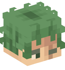 Minecraft head — People