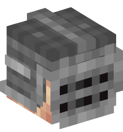 Minecraft head — People