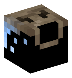 Minecraft head — Decor