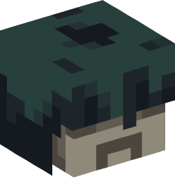 Minecraft head — Monsters