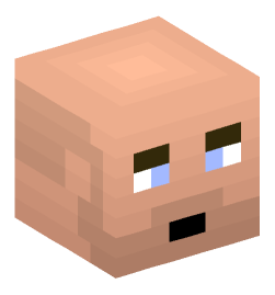 Minecraft head — People