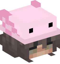 Minecraft head — People