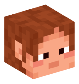 Minecraft head — People