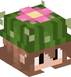 Minecraft head — People