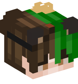 Minecraft head — People