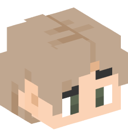 Minecraft head — People