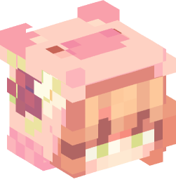 Minecraft head — People