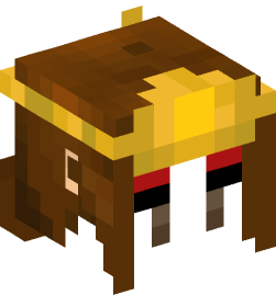 Minecraft head — People