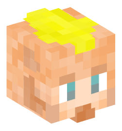 Minecraft head — People