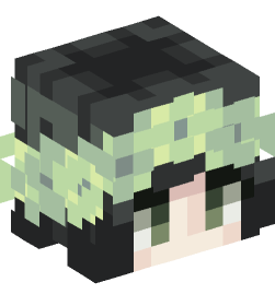 Minecraft head — People
